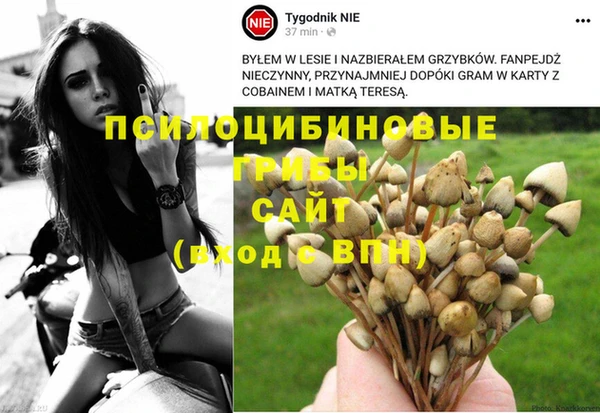 мескалин Аркадак